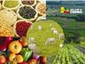 Conselho de Agricultura realiza reunião para elaborar plano de trabalhos para 2022