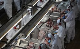 Agroindústria contrata funcionários demitidos de empresa têxtil