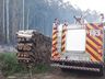 Fogo consome um hectare de reflorestamento em Itapiranga  