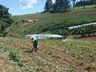 Sindicato incentiva agricultores a aderirem ao Crédito Fundiário