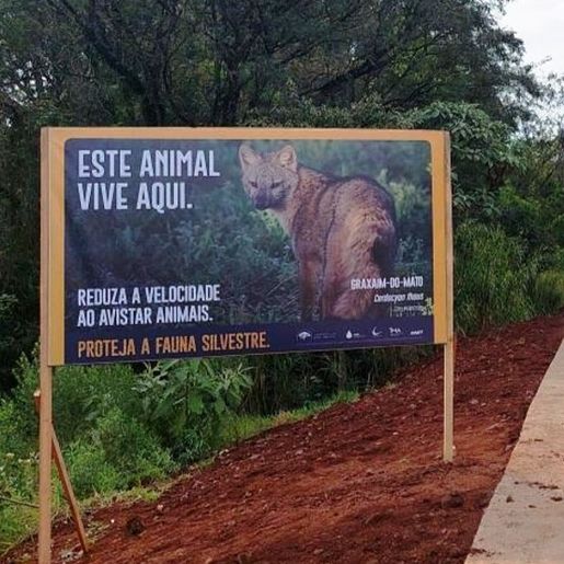 DNIT lança campanha de proteção à fauna na BR-163