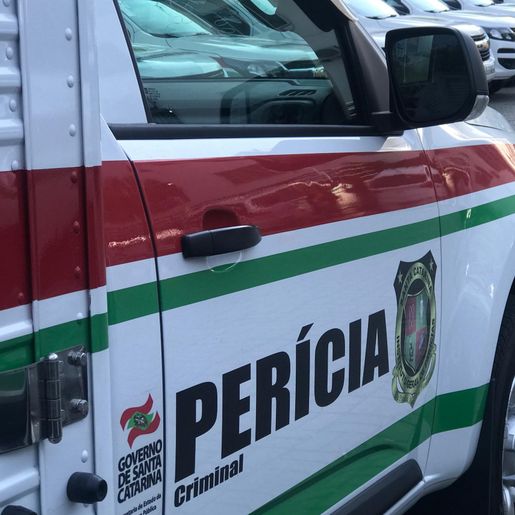 Criança de 3 anos é morta a facadas pelo próprio pai em Santa Catarina