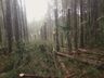 Santa Catarina é atingida pelo segundo tornado em menos de três horas
