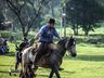 1º Torneio de Tiro de Laço de Vaca Mecânica movimenta Semana Farroupilha