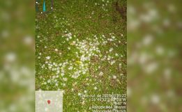 Extremo Oeste volta a ter alerta de tempestade com risco de granizo e ventos 