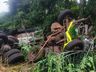 Caminhão sai da pista e desce ribanceira na BR-158 em Caibi