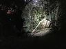 Passageiro fica ferido em saída de pista na BR-163 em São Miguel do Oeste 