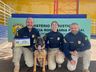 Cão farejador Bili se aposenta da PRF após 9 anos de bons serviços 