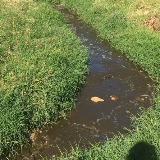 Vigilância Sanitária de Descanso localiza lançamento de efluente no Rio Famoso