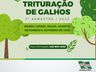 Urbanismo realiza o cronograma do 2º semestre para recolha de galhos em 2023