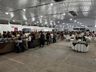 Festival do Frango e do Vinho reúne 1.400 pessoas em SMOeste
