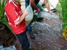 SJO registra resultado positivo em projetos de preservação ambiental