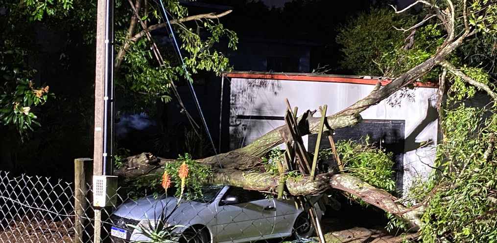 Temporal causa destelhamentos e derruba árvores em São Miguel do Oeste