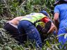 Vídeo: Trabalhador fica ferido ao ser atingido por árvore no interior de Bandeirante