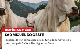 Homem procurado por furto de gado em Rondônia é preso em SMO 