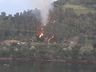 Incêndio atinge área de reflorestamento
