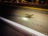 Motociclista fica gravemente ferido ao colidir em caminhão na SC 163, em Itapiranga