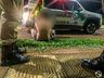Suspeito de atear fogo em caminhão é preso horas depois ao se envolver em acidente 