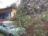 Temporal causa destelhamentos e derruba árvores em São Miguel do Oeste