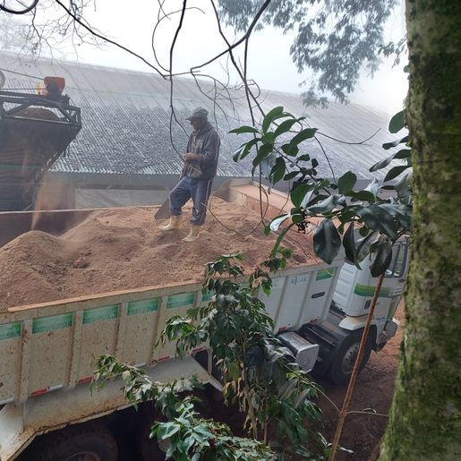 Município reativa subsídio que vai beneficiar avicultores