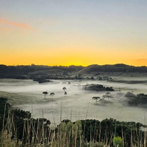 Geada e frio de 2,5°C marcam o último final de semana do verão na Serra de SC 