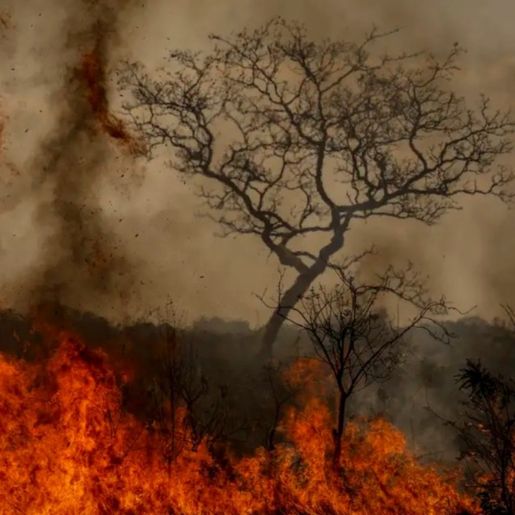 Desastres climáticos aumentaram 250% nos últimos quatro anos no país