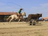 Grupo de Cavalarianos vai organizar eventos na Semana Farroupilha 