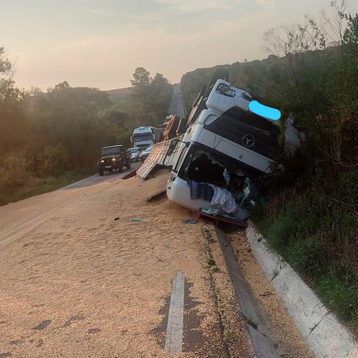 Caminhão carregado de milho tomba na SC 161, em Palma Sola
