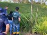 Conder Ambiental deve fechar 2023 com mais de 2,5 mil licenças emitidas