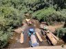 Municípios registram grandes prejuízos com a seca