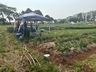 Cedup Campo Erê realiza tradicional Dia de Campo 