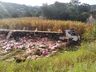 Caminhoneiro sofre ferimentos leves em tombamento na SC-161