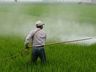 PM Ambiental alerta: Agrotóxicos proibidos e queimadas trazem riscos à saúde e ao meio ambiente