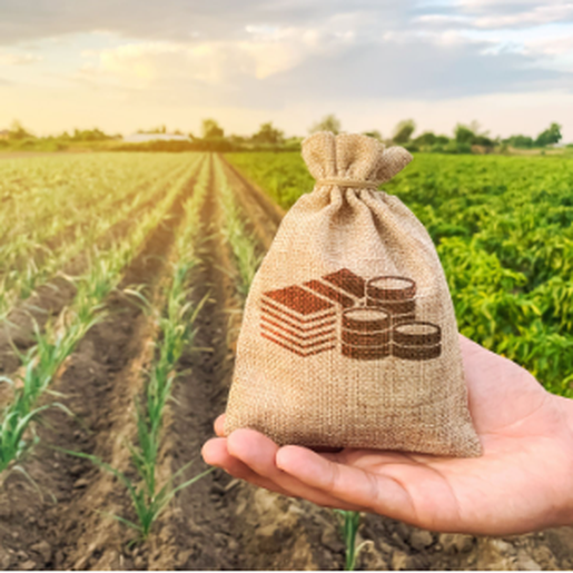 Programa Crédito Rural passa a disponibilizar até R$ 280 mil