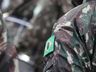 Desfile de 7 de Setembro reúne militares, escolas, entidades e famílias em SMO