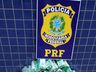 PRF encontra mais de R$ 100 mil em tabletes de maconha escondidos em veículo na BR 163
