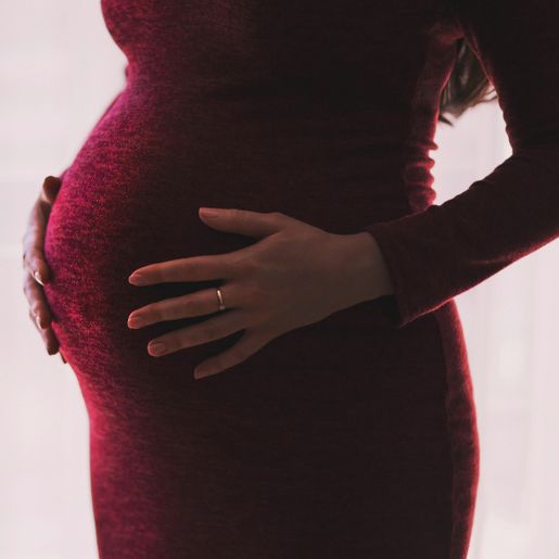Mulheres de SC têm menos filhos que o necessário para manter população, aponta IBGE