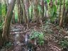 Corpos de duas crianças são encontrados sem vida no interior 