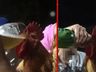 Homens são indiciados por dar cerveja a galo no RS