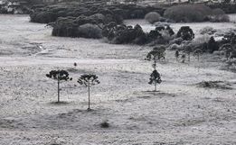 SC enfrenta mais um dia de onda de frio com geada e termômetros em -7°C 