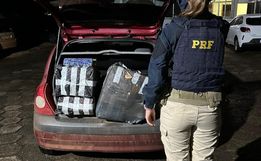 PRF realiza apreensão de 52 kg de maconha na BR-282