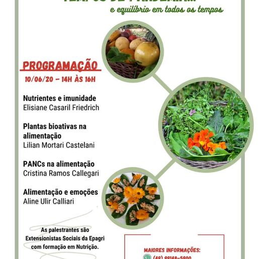 Epagri promove capacitação online sobre alimentação e saúde em tempos de pandemia