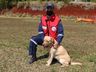 Corpo de Bombeiros Militar tem mais um cão certificado para buscas no Oeste