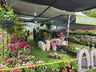Inicia visitação ao parque de exposições da 11ª Efrait