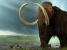 Cientistas recebem US$ 15 milhões para ressuscitar mamute extinto há 4 mil anos