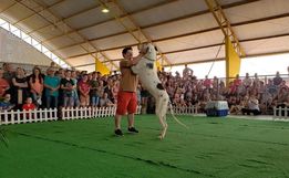 Inscrições para o 3º FAICÃO terminam nesta sexta-feira; evento terá novidades