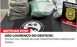 Jovem é presa transportando cerca de 29 Kg de droga em ônibus em São Lourenço 