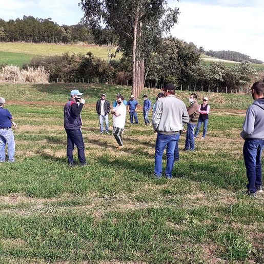 Município realiza capacitação na atividade leiteira