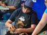 Mutirão de castração em Paraíso atende mais de 160 animais