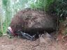 Pedra gigante cai sobre trator e condutor sobrevive em Santa Catarina